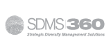 SDMS 360 logo